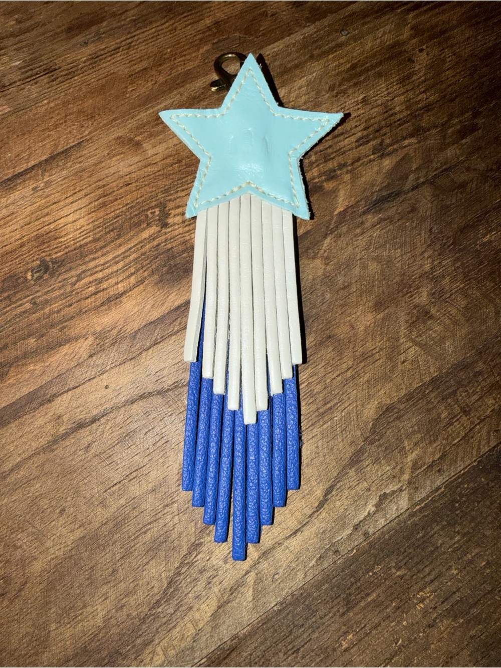 NEW Portland Leather Austin exclusive shooting star bag flair discontinued